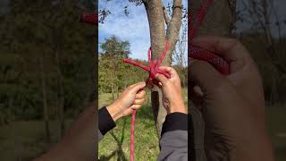 One of most USEFUL Knots in the world.