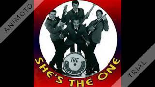 Video thumbnail of "Chartbusters - She's The One - 1964"