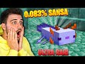 Am gasit cea mai RARĂ SALAMANDRA pe SURVIVAL! ( 0.083% sansa ) - TOPICRAFT