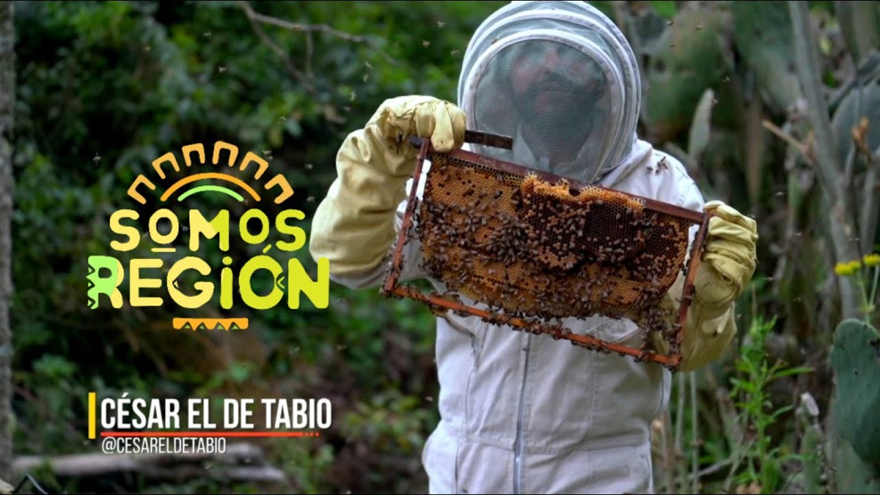 Somos Región: Ruta del dulce por Boyacá