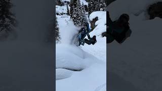 That New 2025 Arctic Cat 858