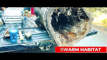 Treatment Free Log Beehives how to install