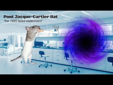 Pont Jacque-Cartier Rat | Trailer