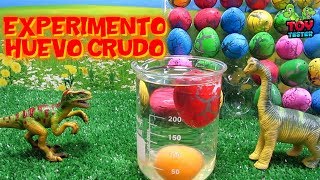 30 MINUTOS EXPERIMENTOS CASEROS huevo de dinosaurio en huevo crudo y otros nacimientos de dinosaurio