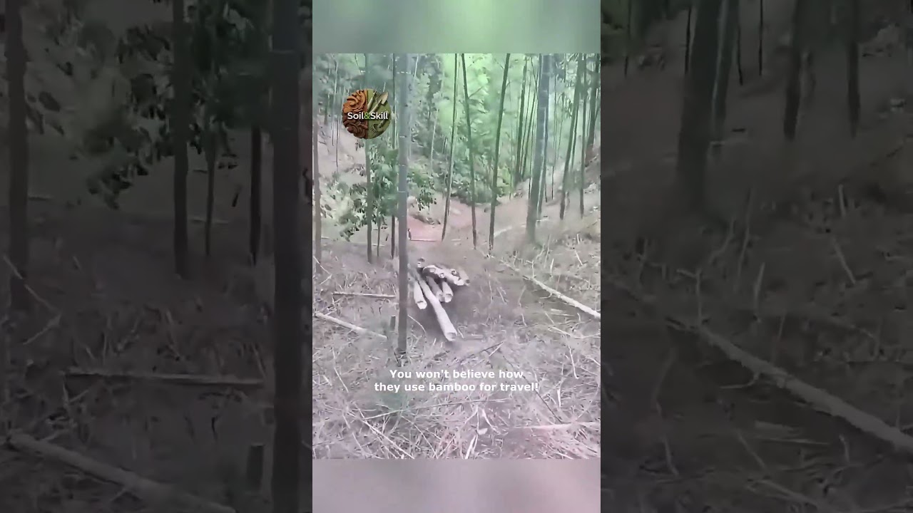 Incredible Bamboo Transportation Methods You Won t Believe!