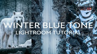 Winter BLUE Lightroom Edit (Free Preset Walkthrough) screenshot 1
