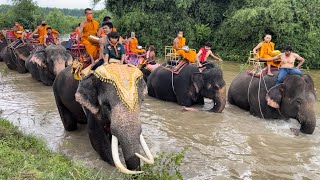 ควาญจิ๋วปูเป้❗️ขี่ช้างฝ่าระดับน้ำสูง2เมตรเพื่อ❗️ร่วมประเพณีตักบาตรบนหลังช้าง❗️ร่วมงาน30กว่าเชือก