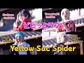 【刀剣乱舞】堀川&粟田口で ビビッとラブ・Yellow Sac Spider【踊ってみた】