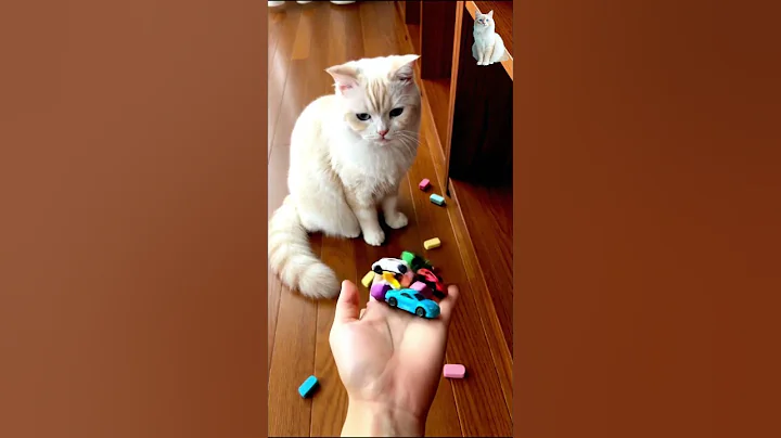 Video 11527091: cat blue eyes, cat cute funny