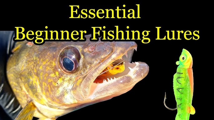 Fishing with Lures for Beginners - When to Use (Underwater Fishing Lures) 