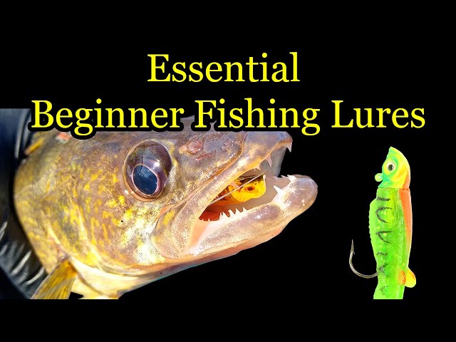 Essential Beginner Fishing Lures To Catch More Fish 