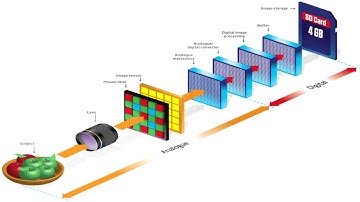 Representing Analogue Data in Binary - Computer Science Tutorials