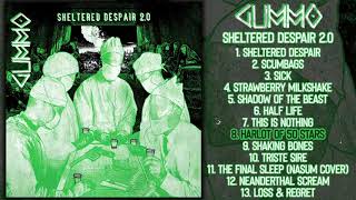 Gummo - Sheltered Despair 2.0 LP FULL ALBUM (2019 - Grindcore / Powerviolence)