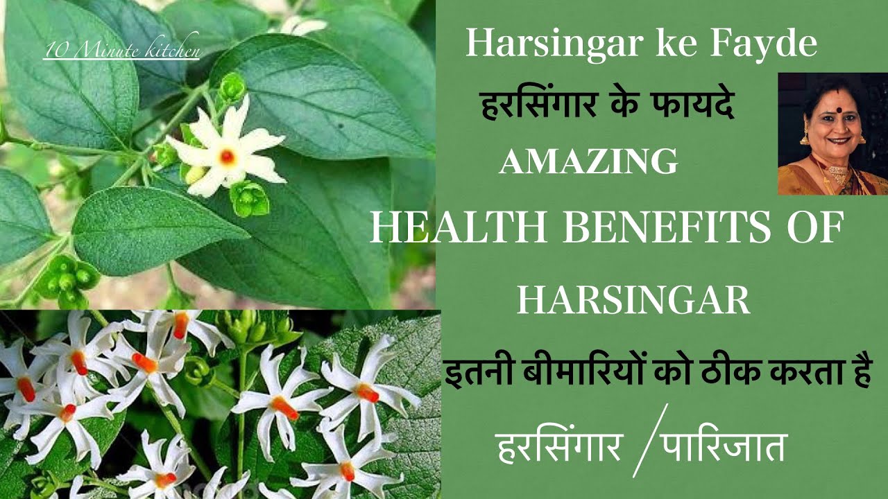 Vastu Tips Harsingar Plant Benefit To Keep Parijat Plant In 52 OFF vastu-tips-harsingar-plant-benefit-to-keep-parijat-plant-in-52-off
