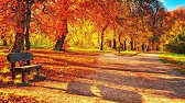 Марина Соколова