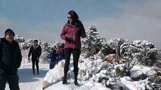 Grand canyon arizona, in the winter ...