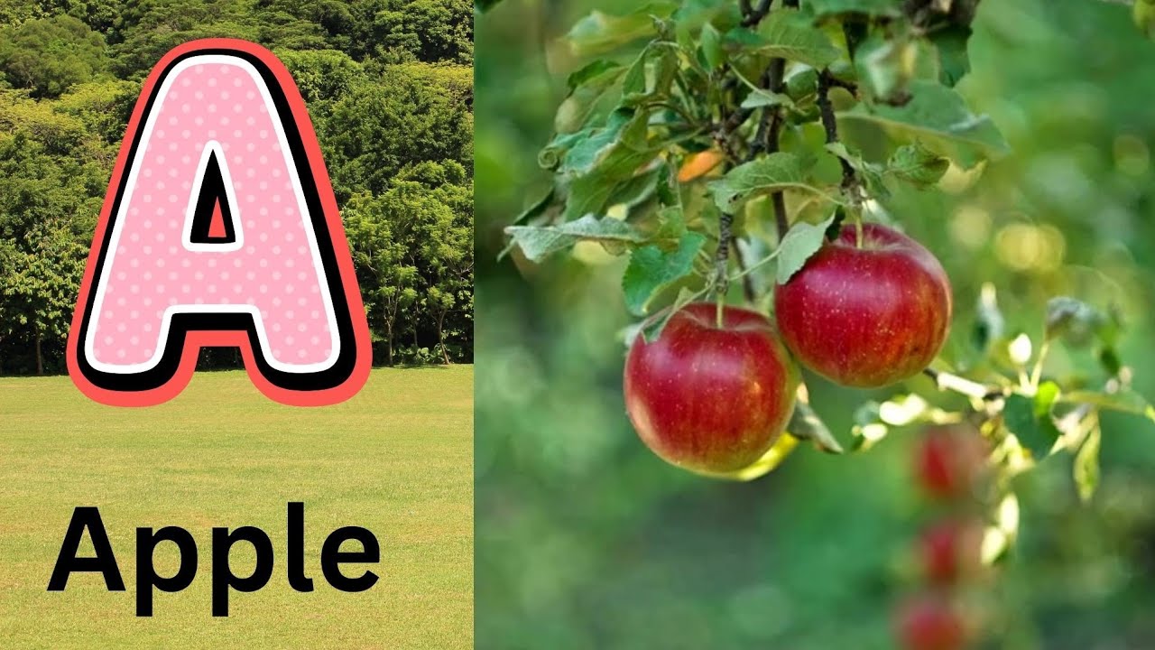 Песенка про фонетику алфавита | Звуки букв алфавита | Изучение алфавита для малышей | Детские пес...