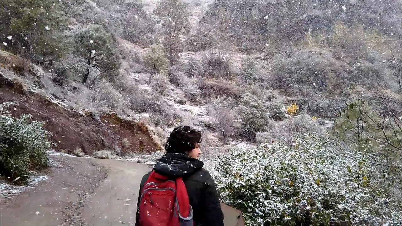 Himachal Pradesh || Solan || Karol Tibba Snowfall 2020 (Part 1)