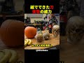 紙で刀を作る男！#shorts