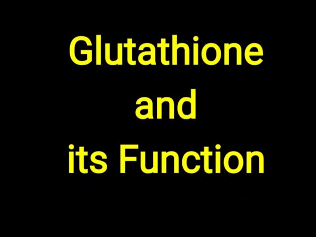 glutathione rbc function in glutathione function in red blood cells Frontiers role of glutathione in rbc