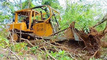 Caterpillar Bulldozer D6R XL Works to Open Forest Roads to Access People