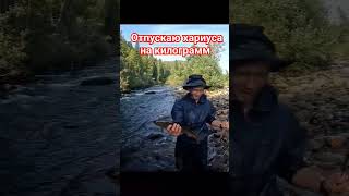 Хариус Нахлыст Поймал-отпусти #flyfishing #grayling #нахлыст #хариус #рыбалка