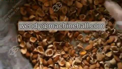 apricot stone crusher |Almond Sheller Machine|almond cracking machine