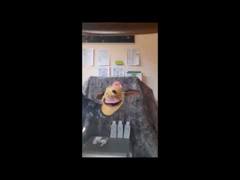 sock-puppet-george-the-giraffe-sings-5-green-bottles-song