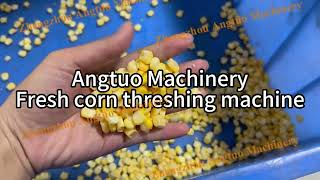 Fresh Corn Threshing Machine | High Efficiency Corn Sheller for Sweet Corn & Maize