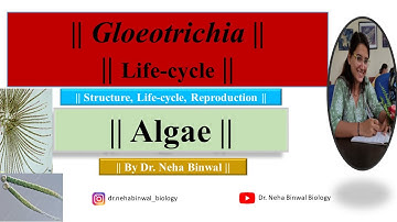 Gloeotrichia Lifecycle || Detailed Video || Thallus Reproduction || #biology #botany #msc #bsc