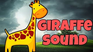 suara jerapah | giraffe sound | जिराफ ध्वनि