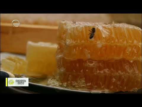 \"საიმედო ტური\" საირმეში