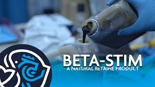 BETA STIM | Natural Betaine | British Aqua Feeds