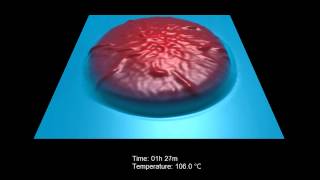 Annealing of Shape Memory Polymer