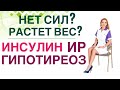 💊 Обмен веществ. Инсулин, ИР и Щитовидная железа. Как лечить? Врач эндокринолог Ольга Павлова.