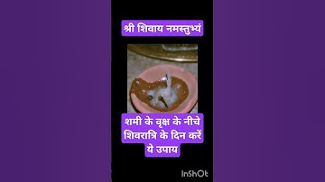 शमी के वृक्ष के नीचे शिवरात्रि के दिन करें ये उपाय!#pradeep_ji_mishra #shortvideo #mahadev