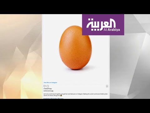 صباح العربية صورة بيضة تكتسح العالم