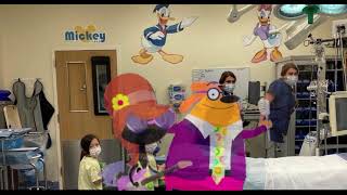 Hello Hello Song By Elton John And Lady Gaga Ruff Ruffman Show Alvin Pianimals 11 Dvd