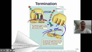 AP Biology Sec 12.5 - Gene Expression: Translation