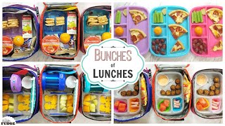 School Lunch Ideas 🍎 What They Ate
