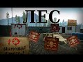 Гайд по измененной карте Лес - Escape from Tarkov 0.12.9