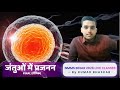 जंतुओं में प्रजनन [FINAL] - NMMSLIVECLASSES2026 #nmms #bihar #sarkarischool #education #science