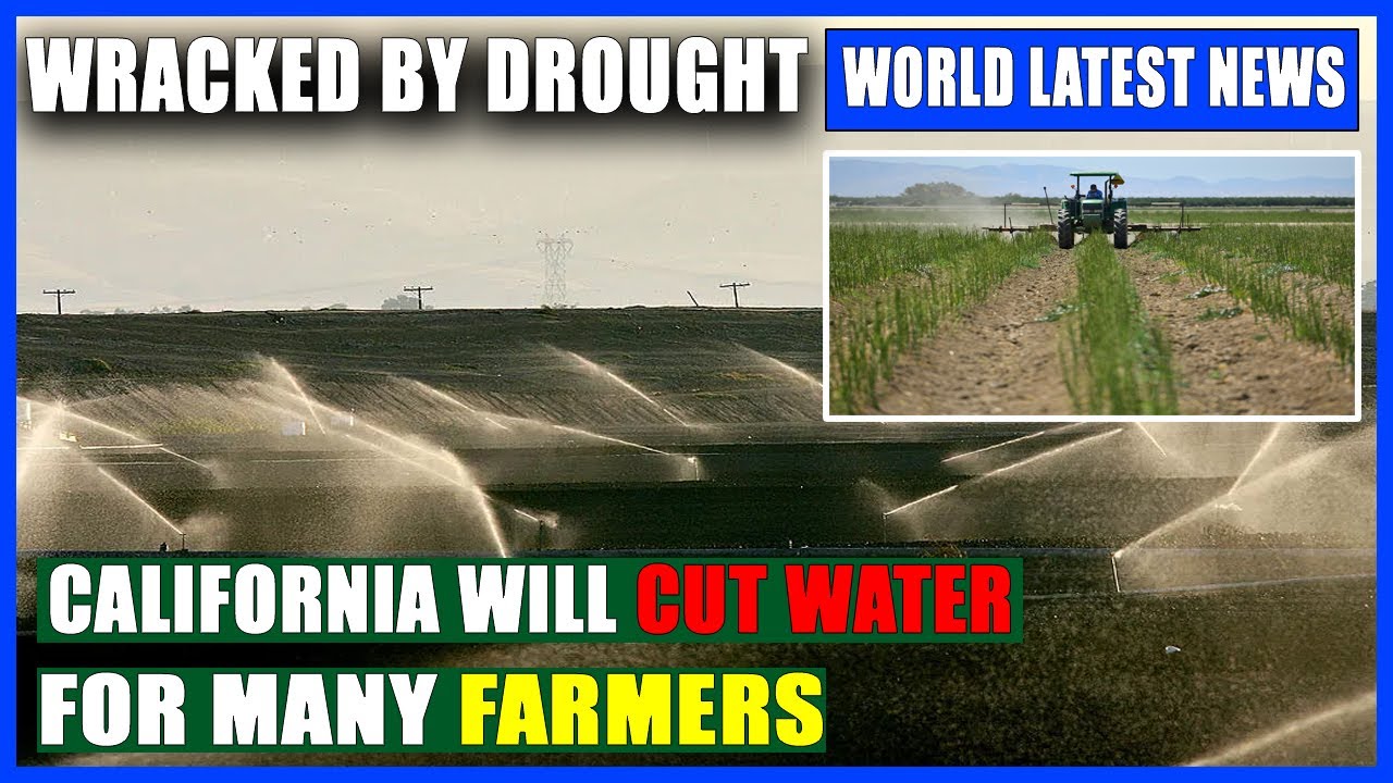Wracked by drought, California will cut water for many farmers.