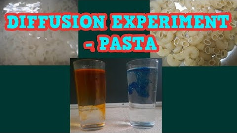 Diffusion experiment - Pasta