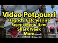 What's New at Universal Studios Orlando | Fire On Hagrid's! | Shark Week
