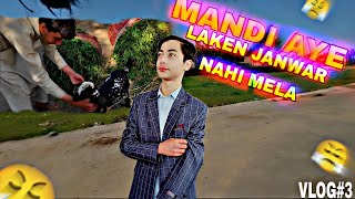 Cow Mandi aye Laken MANDI nahi thi | Cooling Fan Tek karliya | Mustafa HANIF | MISHKAT KHAN