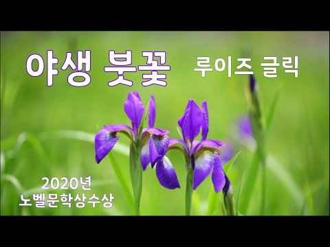 [시낭송]야생 붓꽃/루이즈 글릭/노벨문학상작가(낭송:봉경미,음악:손방원팬플룻)