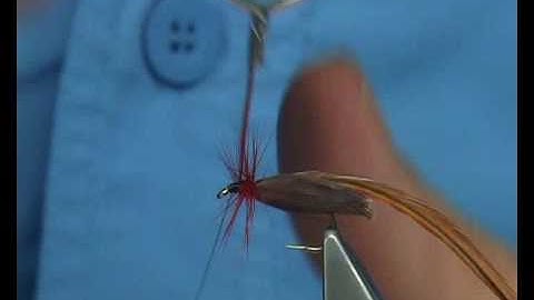Tying a Brown Caddis (DryFly) with Davie McPhail