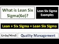 What is Lean Six Sigma? Lean Six Sigma Explained With Easy Examples