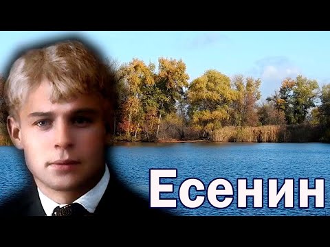 Не бродить не мять в кустах багряных. Есенин. Стихи.